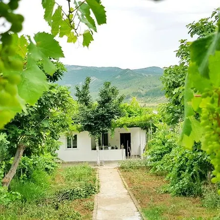 Vacation 101 * Πρεμετή